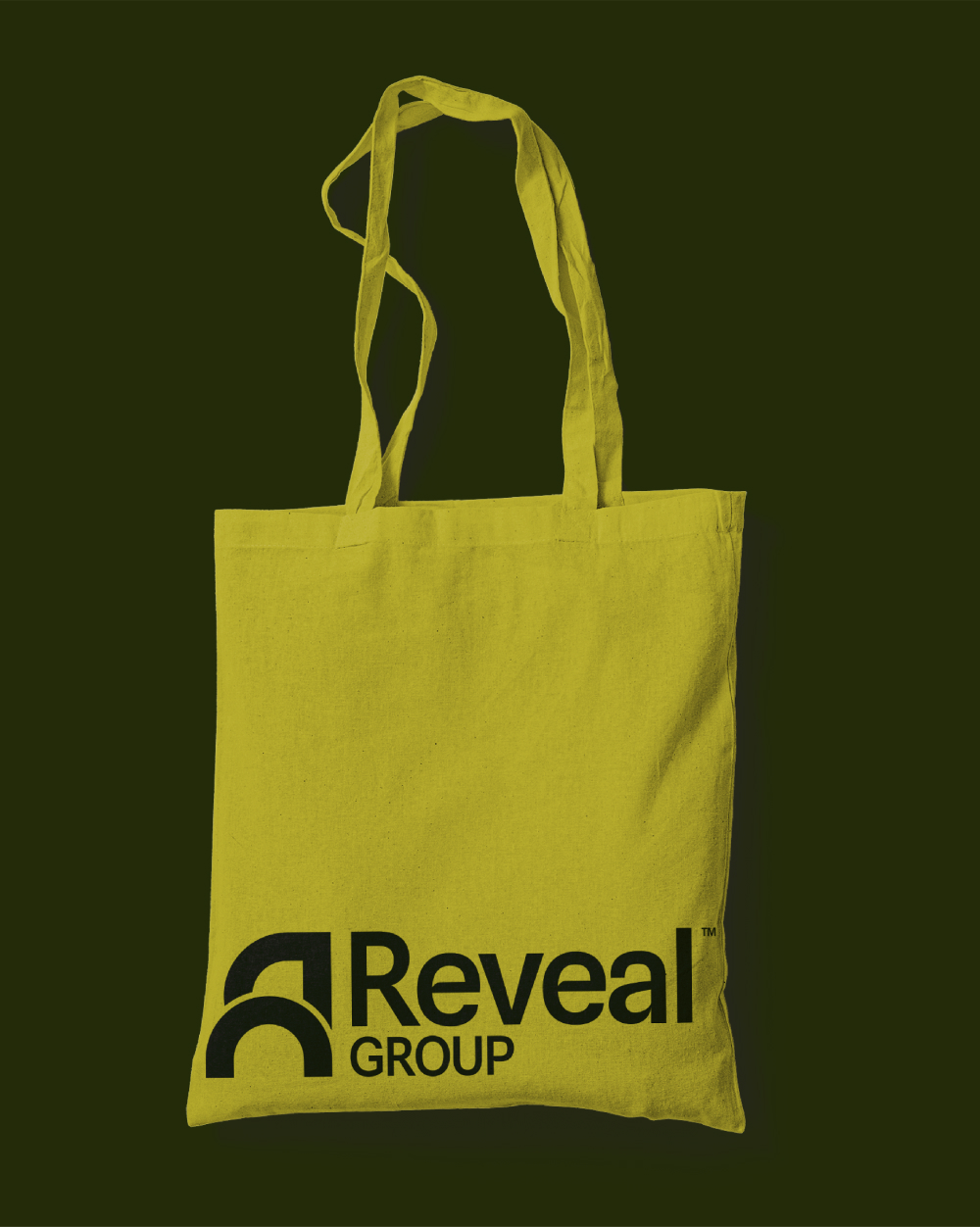 Reveal Group project image 3