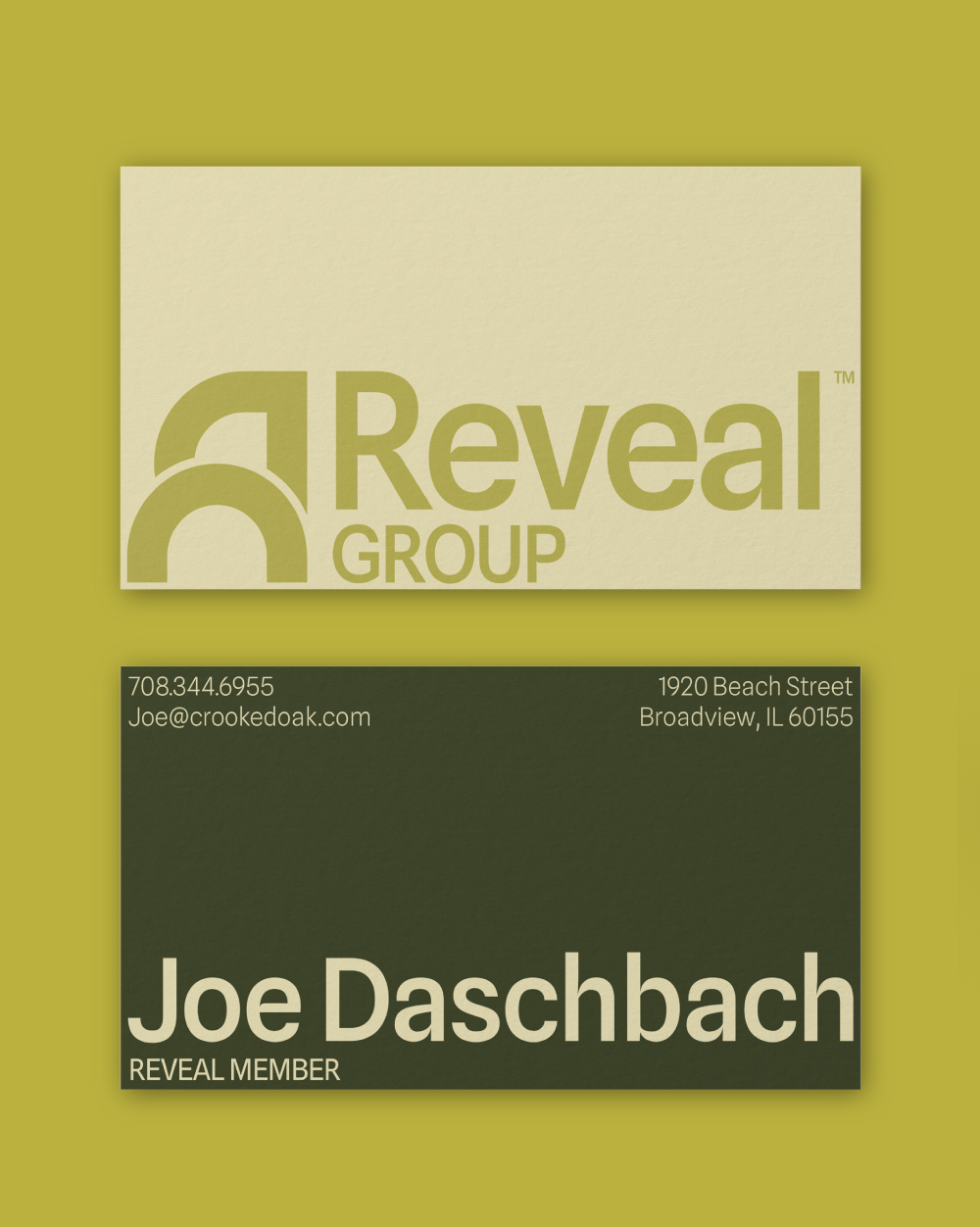 Reveal Group project image 8